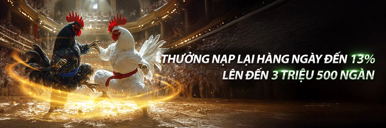 Chương trình VIP độc quyền bin88 code
