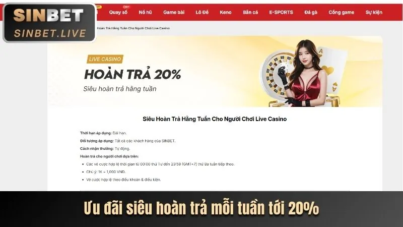 Lợi ích khi đăng nhập bin88 code